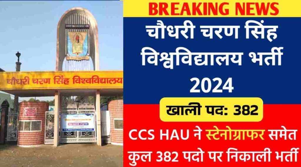 चौधरी चरण सिंह विश्वविद्यालय भर्ती 2024 : CCS HAU ने स्टेनोग्राफर समेत कुल 382 पदो पर निकाली भर्ती